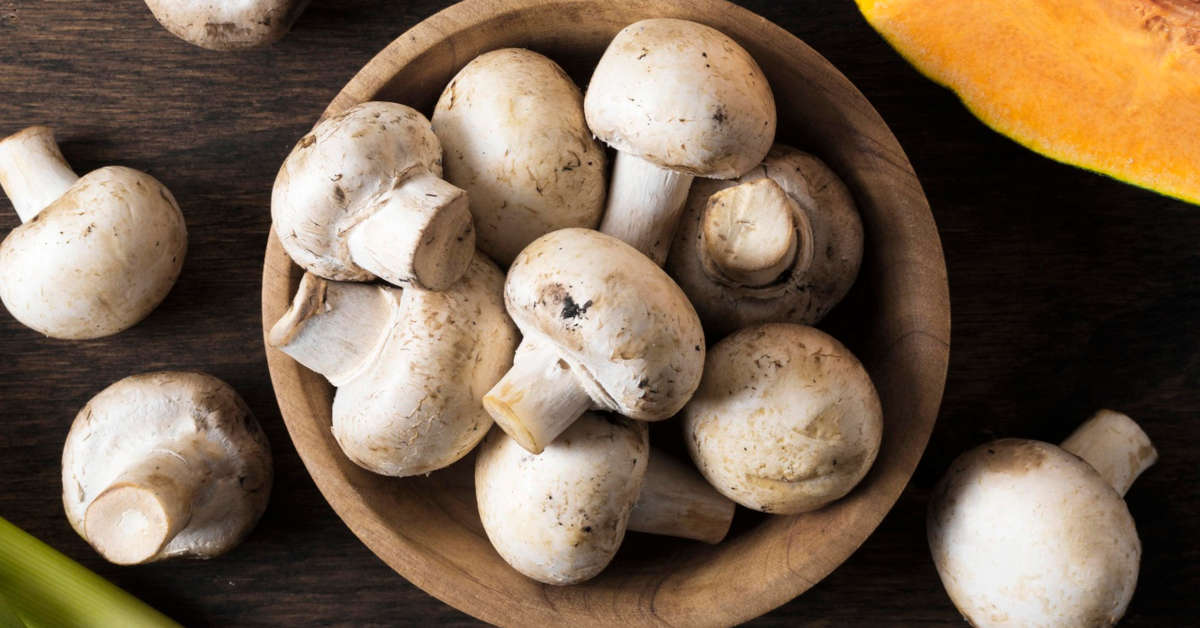 Czy dzieci mogą jeść grzyby?