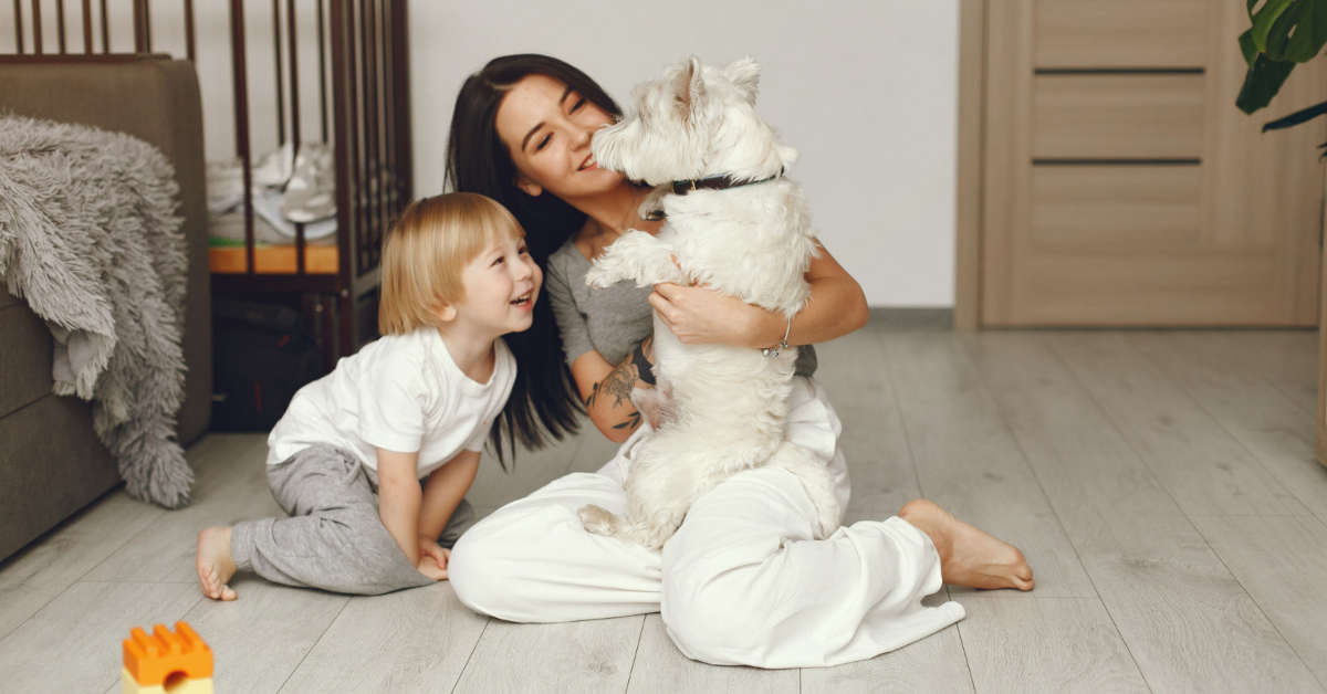 Abecadło z pieca spadło – cały tekst bajki