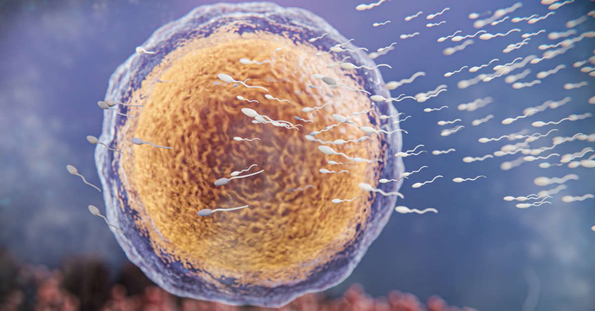 Jak rozpoznać dziecko z in vitro?