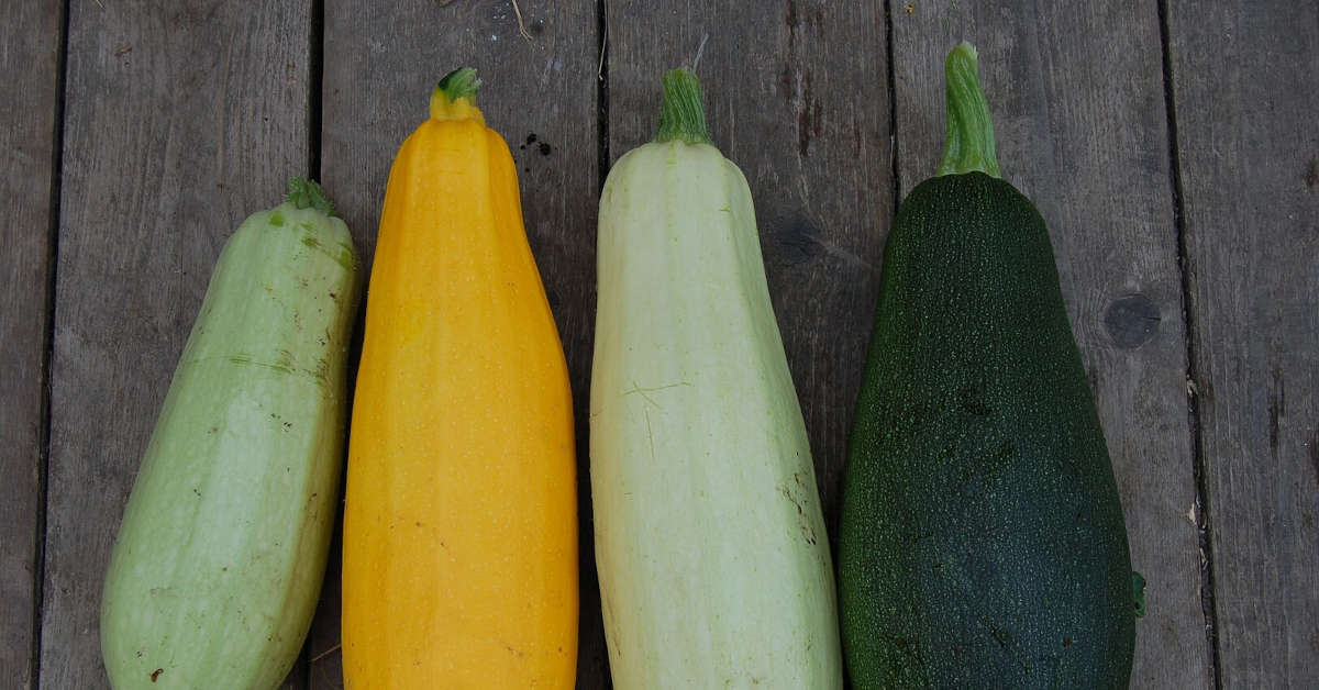 Czy cukinia jest wzdymająca?